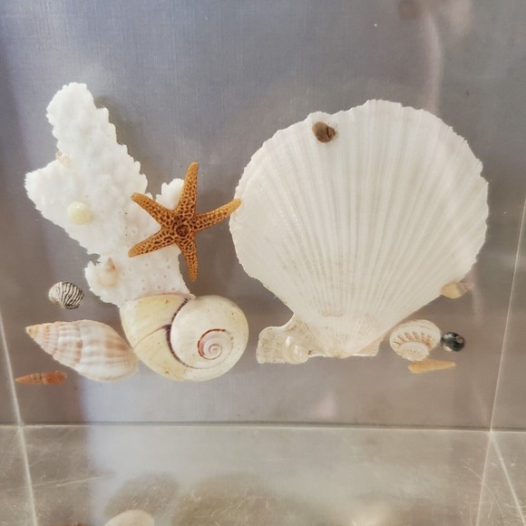 1970 Lucite Acrylic Bookends Nautical Ocean Beach Seashells Seahorses Starfish - Picture 3 of 16